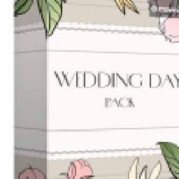 Movavi effect Wedding Day Pack 22% OFF Discount