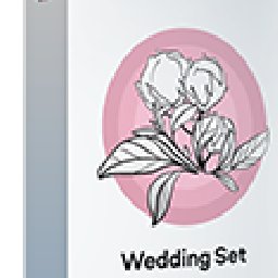 Movavi effect Wedding Set 20% OFF Discount