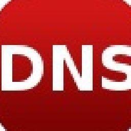 Domain Dns Health Check Script