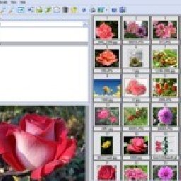 Able Image Browser 31% OFF Discount