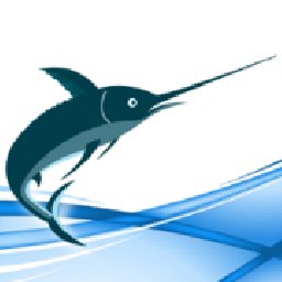 Swordfish Translation Editor 10% OFF Discount