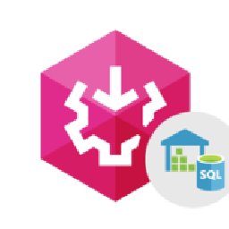 SSIS Data Flow Components Azure SQL Data Warehouse 25% OFF Discount