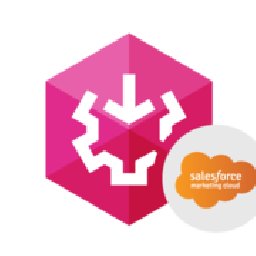 SSIS Data Flow Components Salesce Marketing Cloud