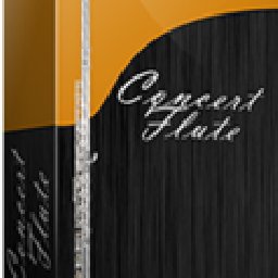 Concert Flute 50% OFF Discount