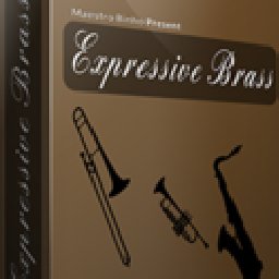 Expressive Brass 50% OFF Discount