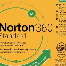 Norton