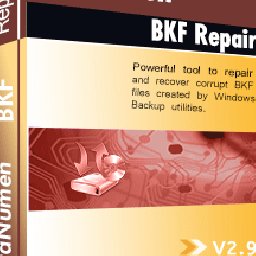 DataNumen BKF Repair