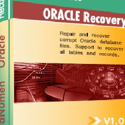 DataNumen Oracle Recovery 20% OFF Discount