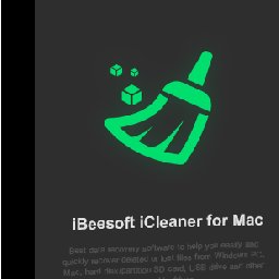 IBeesoft iCleaner 78% OFF Discount