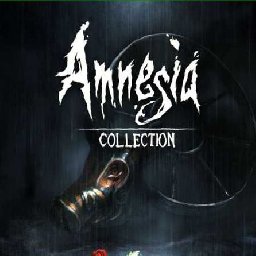 Amnesia Collection 89% OFF Discount