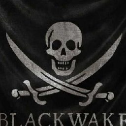 Blackwake PC