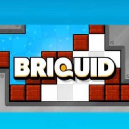 Briquid PC