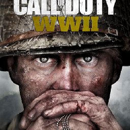 Call of Duty WWII PC 18% OFF Discount