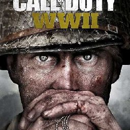 Call of Duty WWII 58% OFF Discount