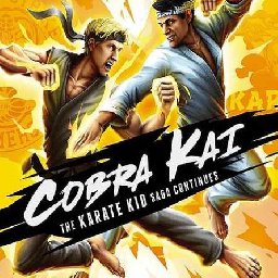 Cobra Kai 84% OFF Discount