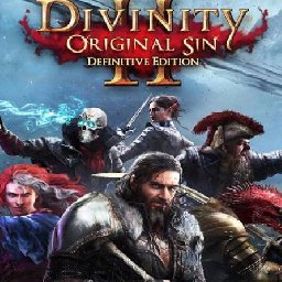 Divinity Original Sin 31% OFF Discount