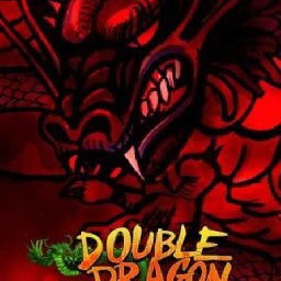 Double Dragon Trilogy PC 18% OFF Discount