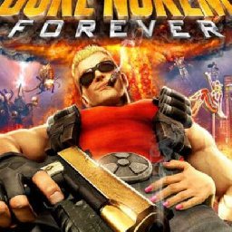 Duke Nukem Forever PC 18% OFF Discount