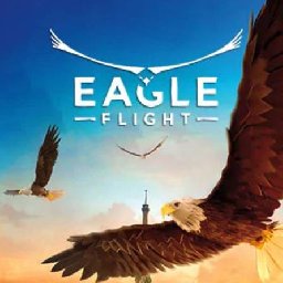 Eagle Flight PC 10% OFF Discount