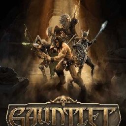 Gauntlet Slayer Edition PC 88% OFF Discount