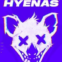 HYENAS PC 10% OFF Discount