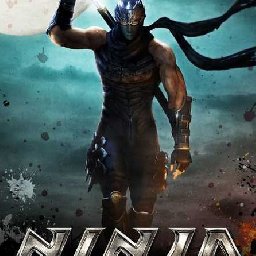 Ninja Gaiden 11% OFF Discount