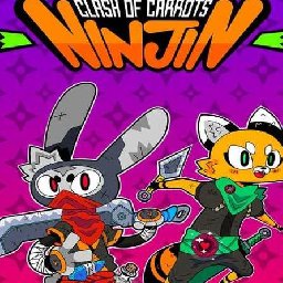 Ninjin 87% OFF Discount