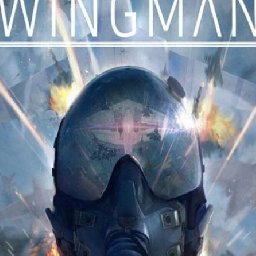 Project Wingman PC 79% OFF Discount