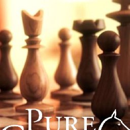 Pure Chess Grandmaster Edition PC 92% OFF Discount