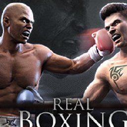 Real Boxing PC 18% OFF Discount