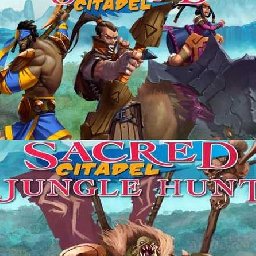 Sacred Citadel PC 91% OFF Discount