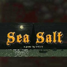 Sea Salt PC 76% OFF Discount