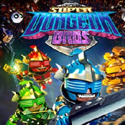 Super Dungeon Bros PC 14% OFF Discount