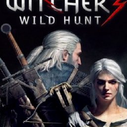 The Witcher Wild Hunt GOTY PC 80% OFF Discount