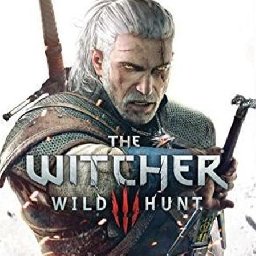 The Witcher 13% OFF Discount