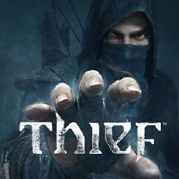 Thief 18% OFF Discount