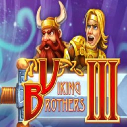 Viking Brothers PC 33% OFF Discount