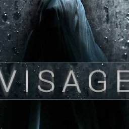 Visage PC 14% OFF Discount