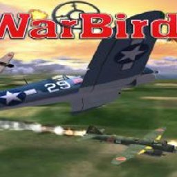 WarBirds World War II Combat Aviation PC 11% OFF Discount