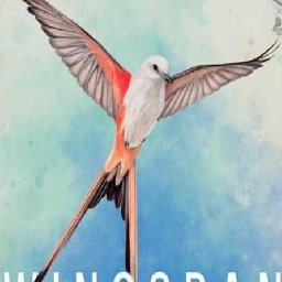 Wingspan PC 75% OFF Discount