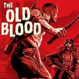 Wolfenstein The Old Blood 61% OFF Discount