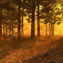 3PlaneSoft Autumn est 3D Screensaver 11% OFF Discount