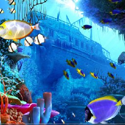 3PlaneSoft Coral Reef 3D Screensaver 11% OFF Discount