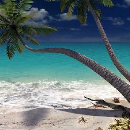 3PlaneSoft Sandy Beach 3D Screensaver