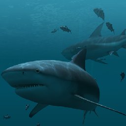 3PlaneSoft Sharks 3D Screensaver 11% OFF Discount