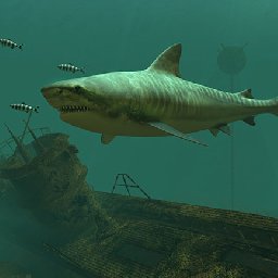 3PlaneSoft Tiger Sharks 3D Screensaver 11% OFF Discount