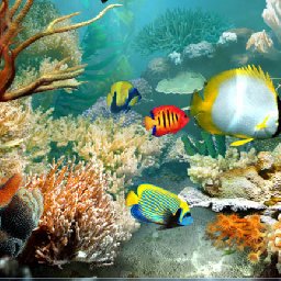 3PlaneSoft Tropical Fish 3D Screensaver 11% OFF Discount