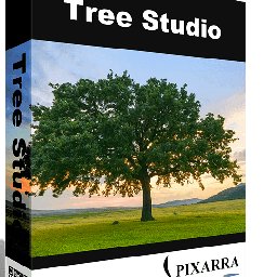 Tree Studio 82% OFF Discount