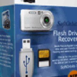 Flash Drive Recovery 31% OFF Discount